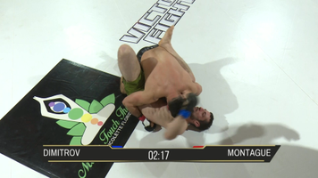 Georgi Dimitrov vs Joe Montague