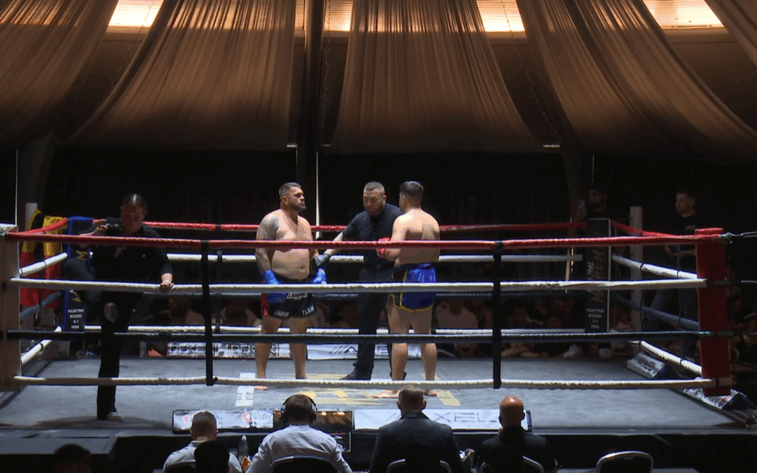 Bogdan Mihai vs Luis Rodrigues Barea